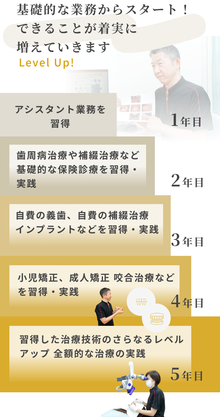 1年目～5年目以降のステップアップ